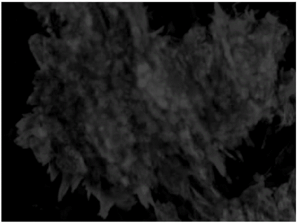 Kit and method for in vitro directional differentiation of human-derived iPS stem cells into myocardial cells