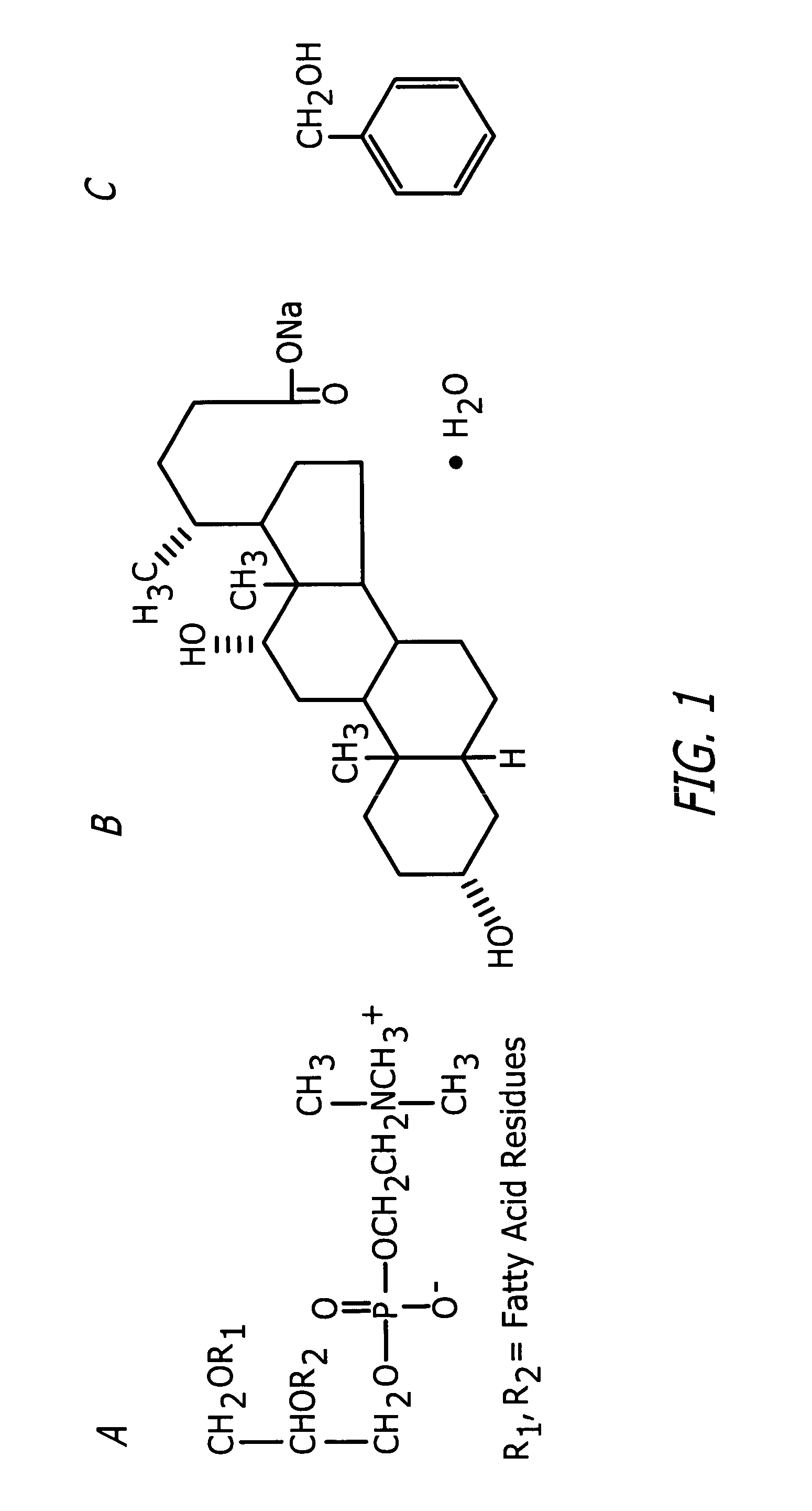 Methods and related compositions for reduction of fat and skin tightening