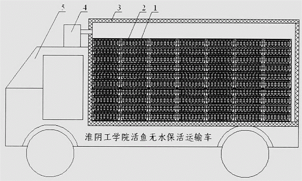 Fish box and method for transporting live fish vertically without water