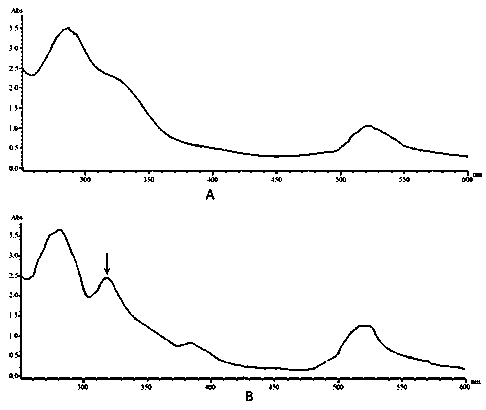 Method for improving stability of carmine radish pelargonidin