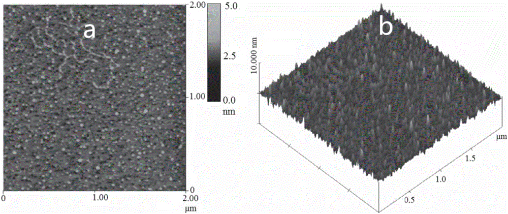 Preparation of carbon quantum dots by use of aloe as carbon source and detection method of lemon yellow