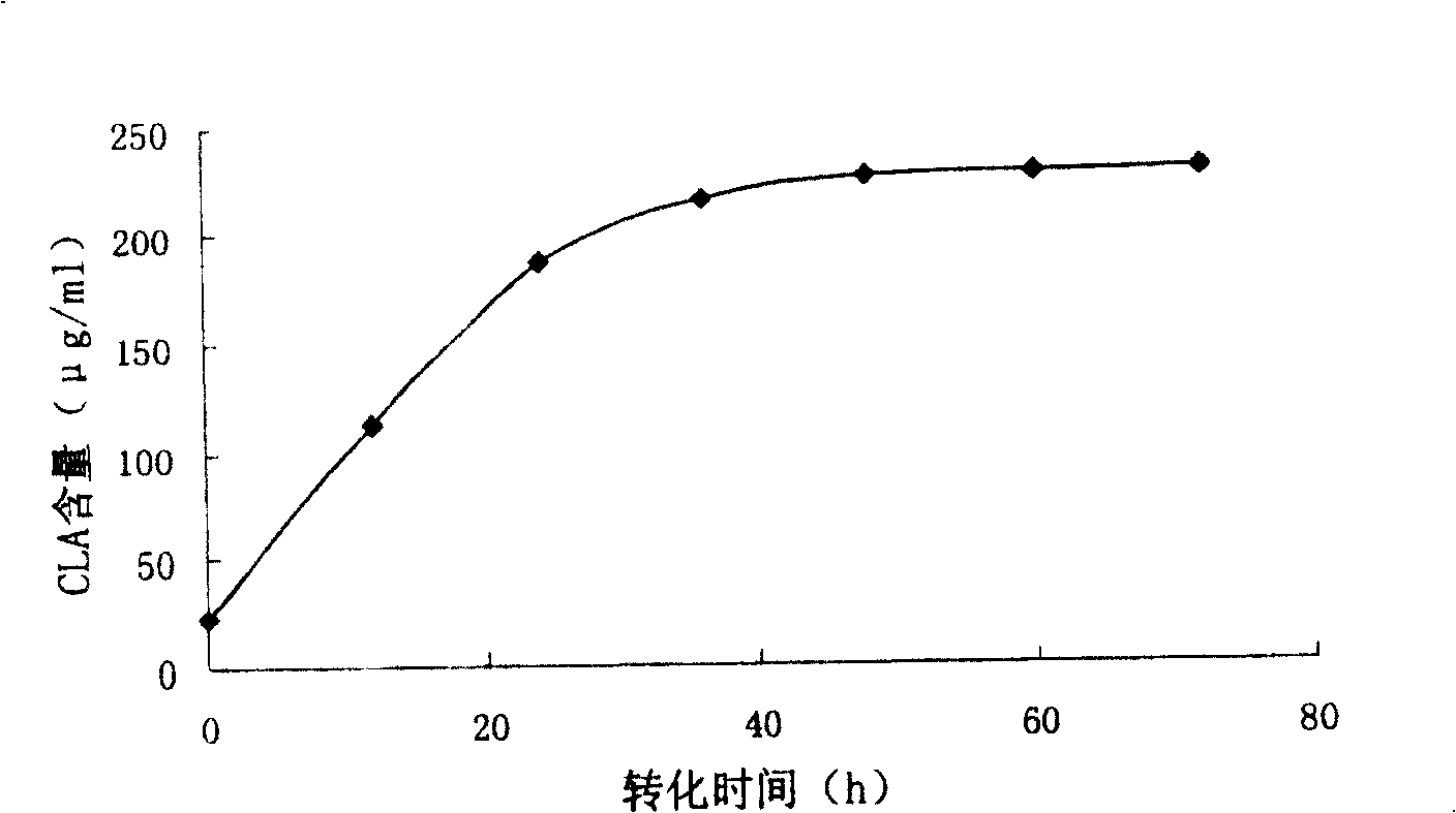 Plant lactobacillus and method of biological preparing conjugated linoleic acid using the same