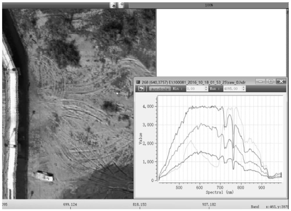 Hyperspectral monitoring and GIS coupled mountain torrent disaster dynamic risk assessment method