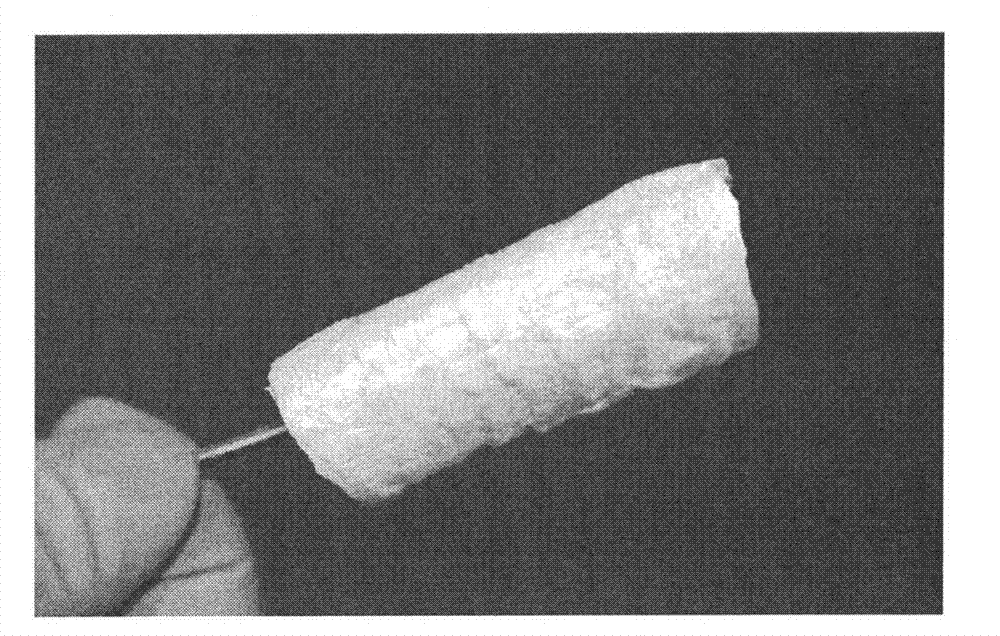 Preparation method of trachea substitute