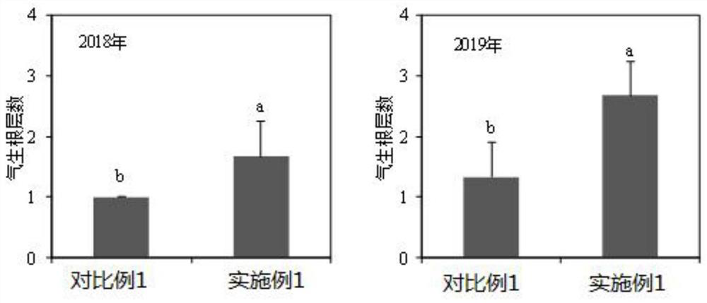 A fertilization method for improving lodging resistance and grain quality of maize in cold regions