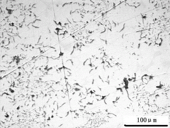 A kind of d-type graphite cast iron and production method thereof