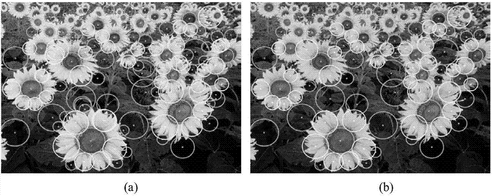 Image spot detection method based on anisotropic Gaussian kernel and gradient search