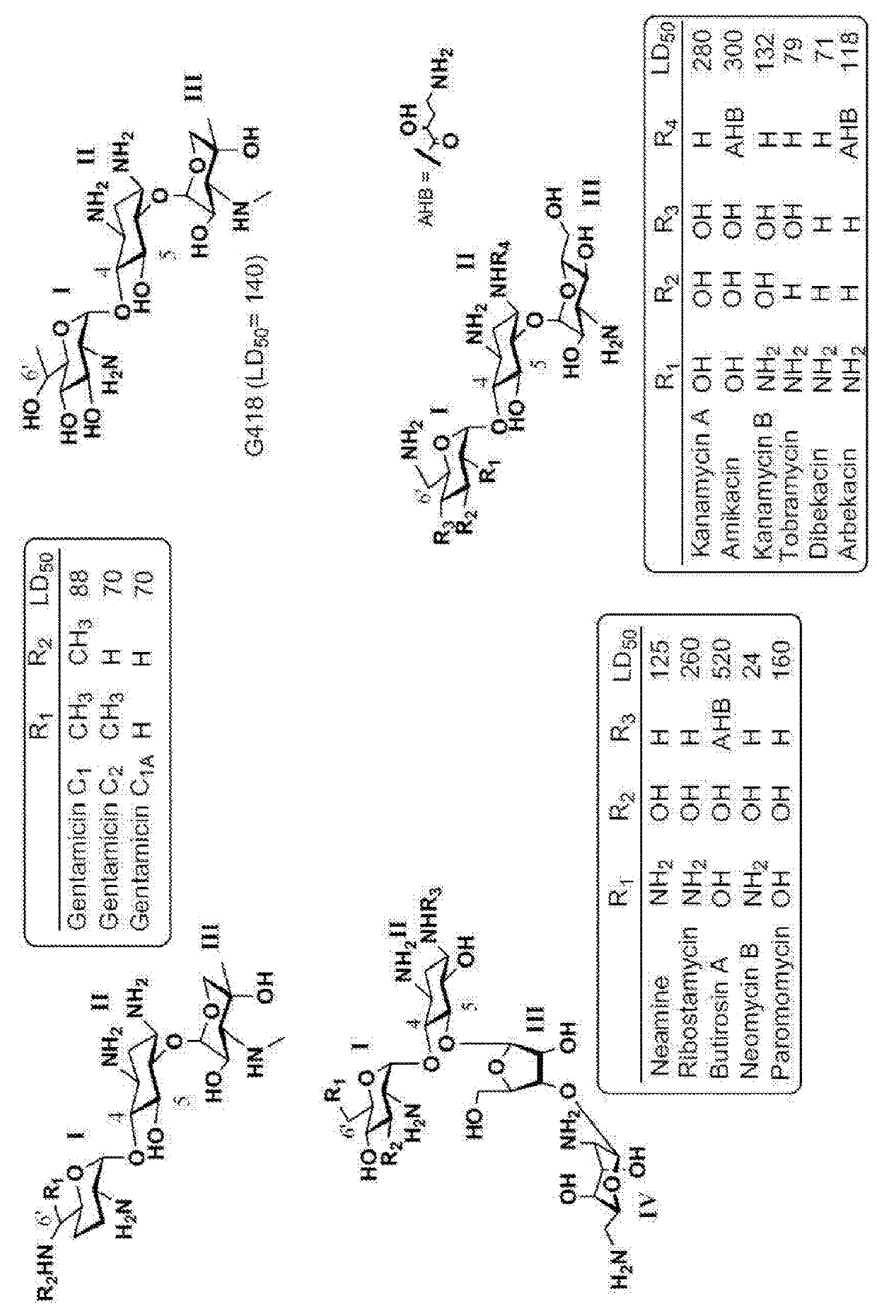 Aminoglycoside derivatives and uses thereof in treating genetic disorders