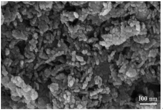 Preparation method and application of fe/alooh catalyst