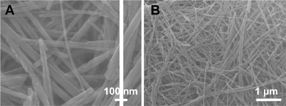 A monoclinic structure fe  <sub>2</sub> (moo  <sub>4</sub> )  <sub>3</sub> Nanowire and its preparation method and application