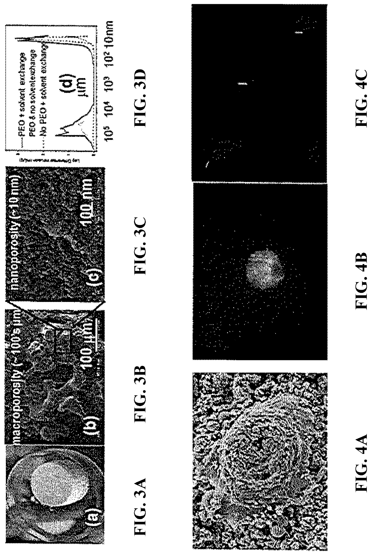 Scaffolds for uterine cell growth