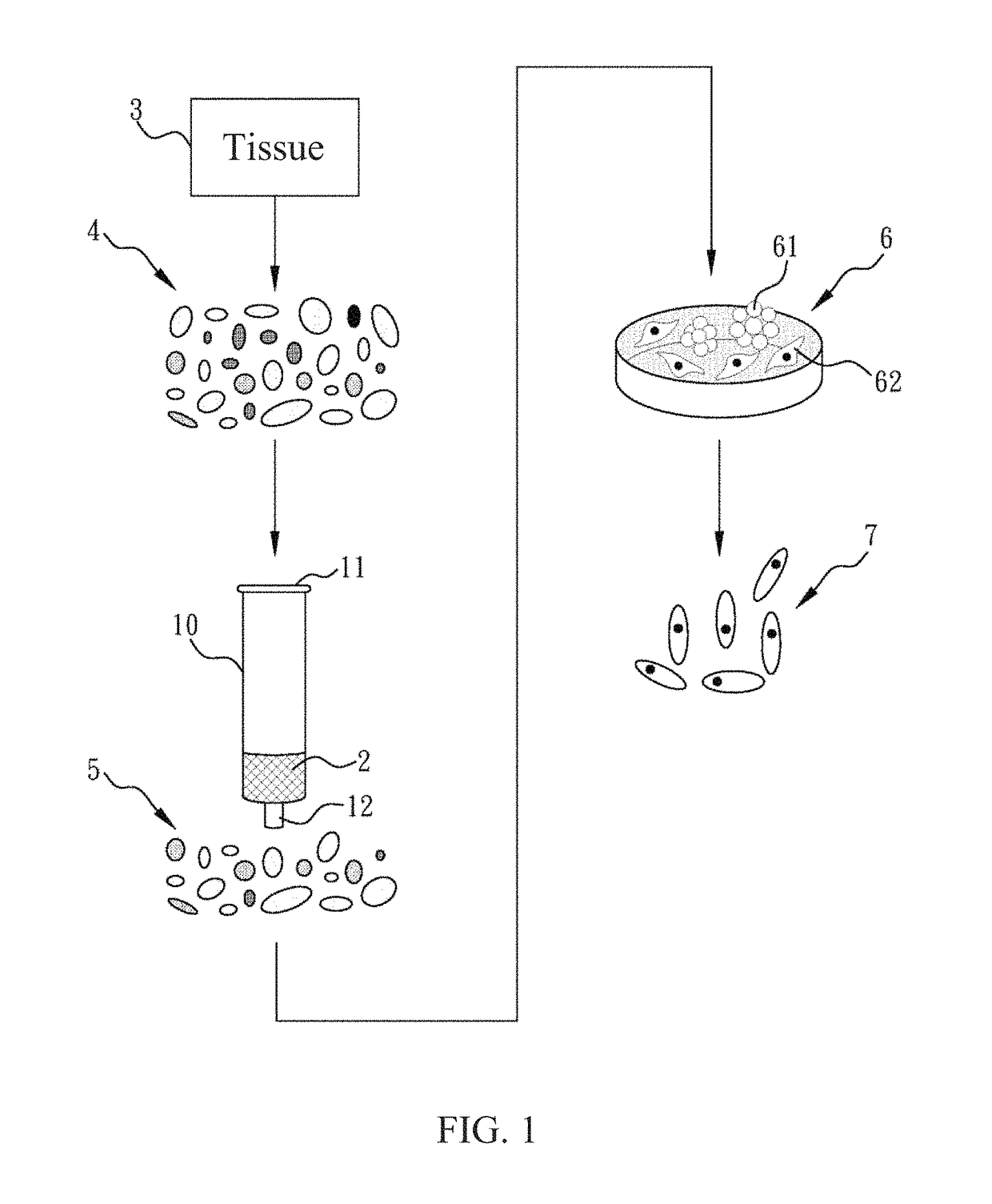 Method of obtaining high purity stem cells from tissue