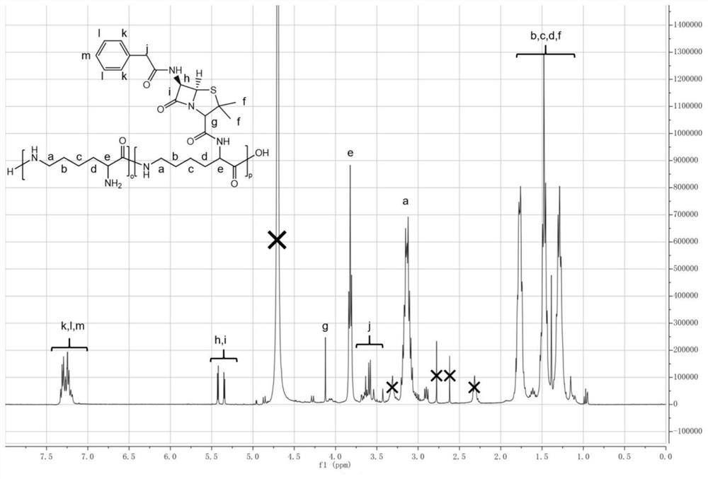 Penicillin modified epsilon-polylysine antibacterial peptide and preparation method thereof