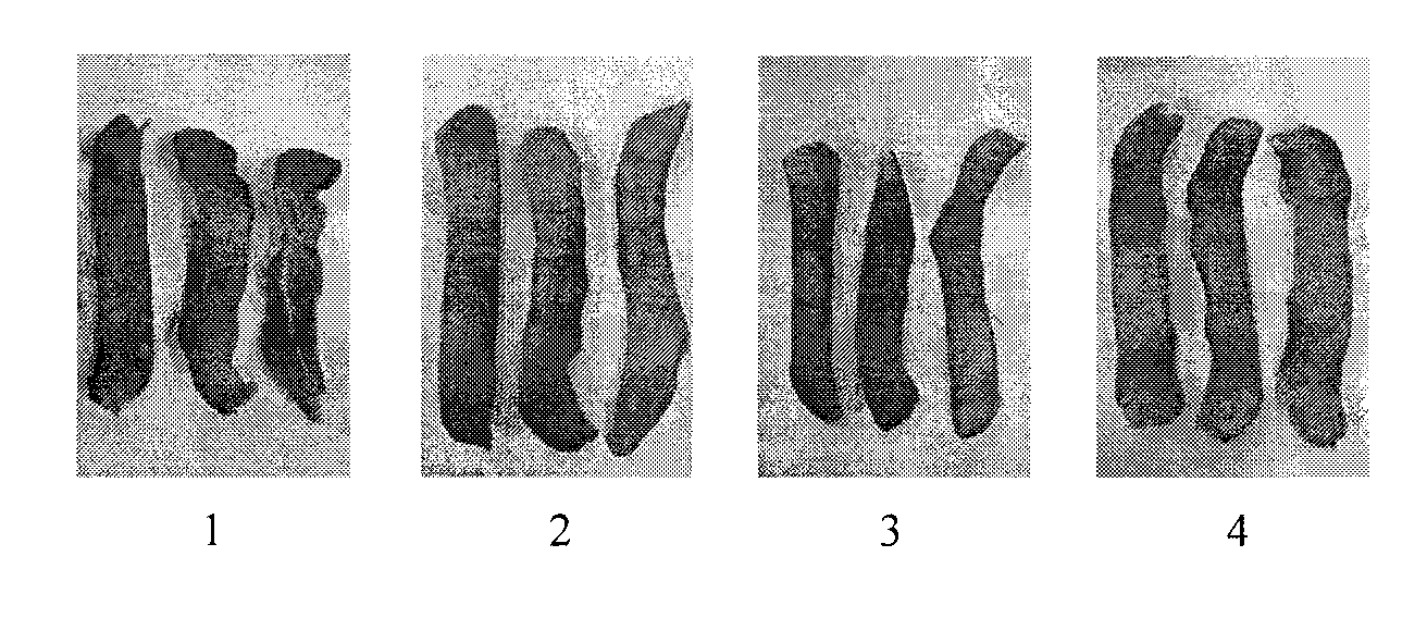 Method for making dried velvet bean pod