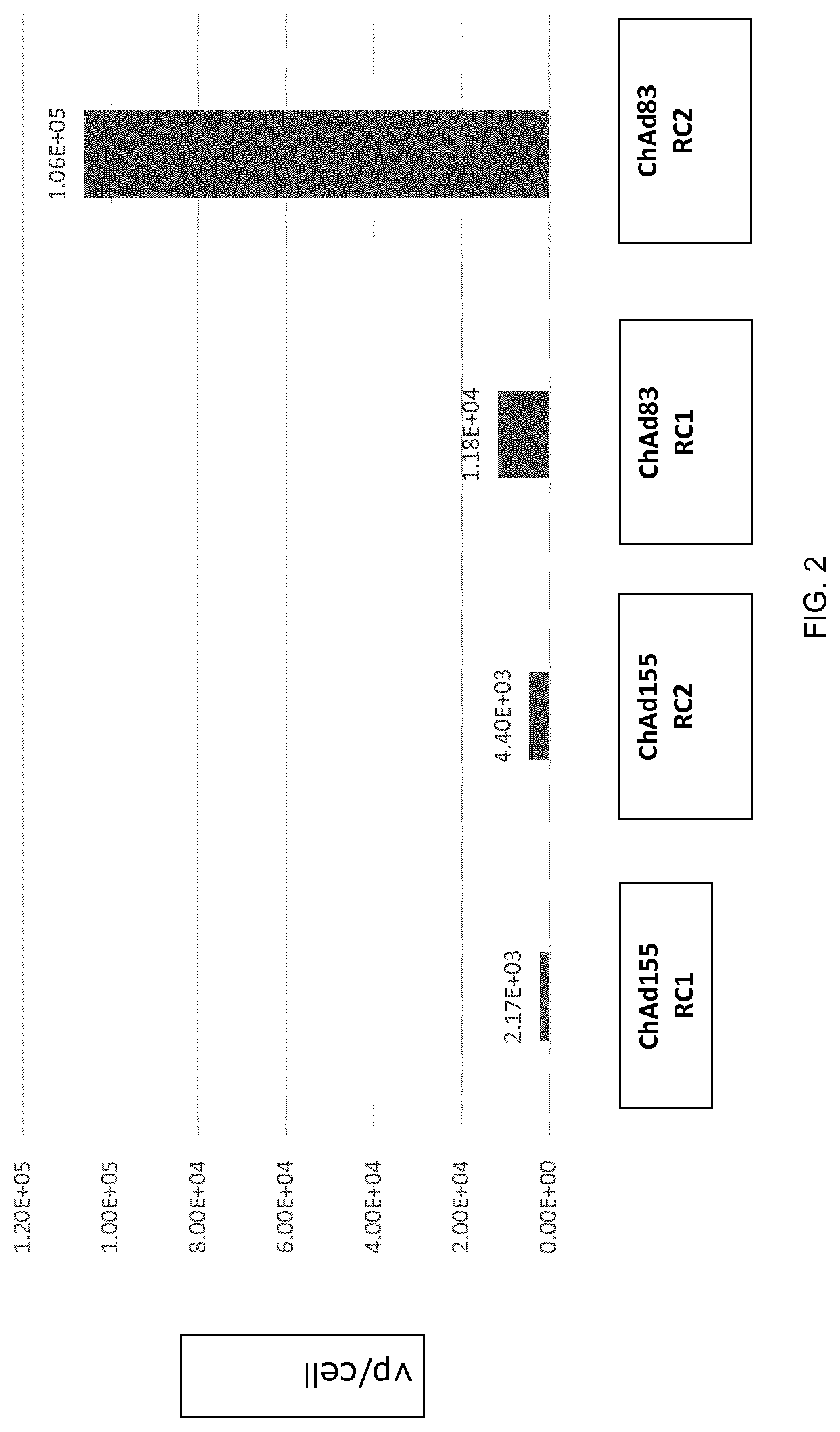 Replication competent adenoviral vectors