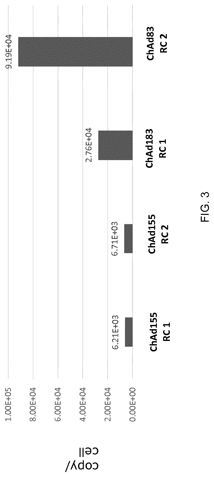 Replication competent adenoviral vectors