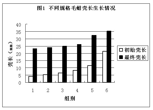 Ecological cultivation method of arca subcrenata lischke