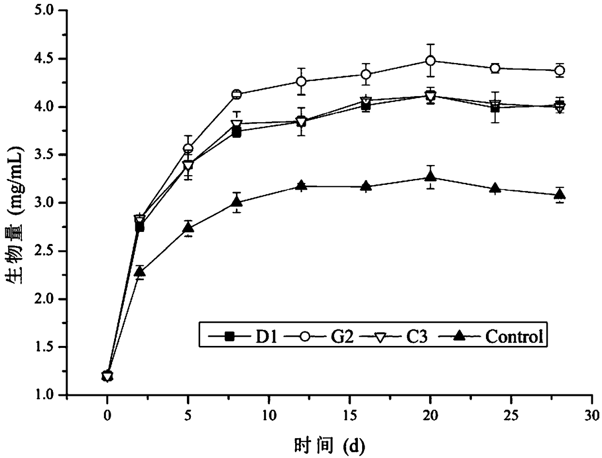 Wheat gluten protein peptide as well as preparation method and application thereof