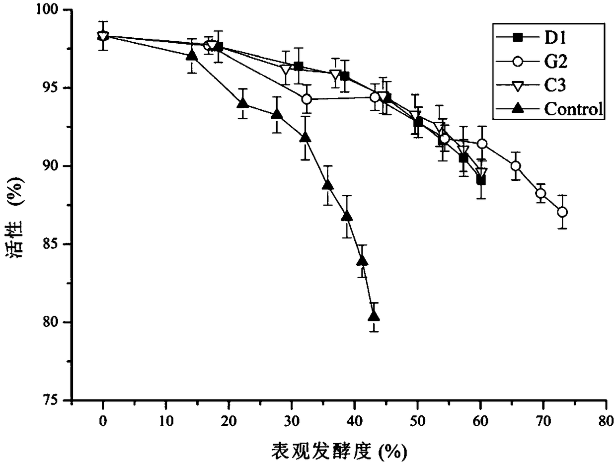 Wheat gluten protein peptide as well as preparation method and application thereof