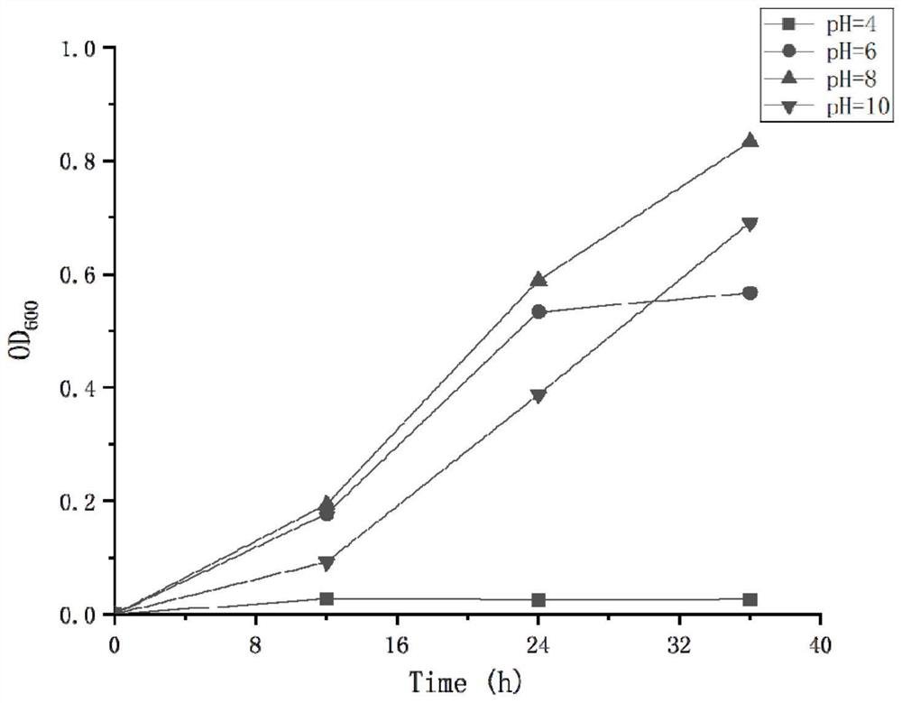 Achromobacter denitrificans and application thereof