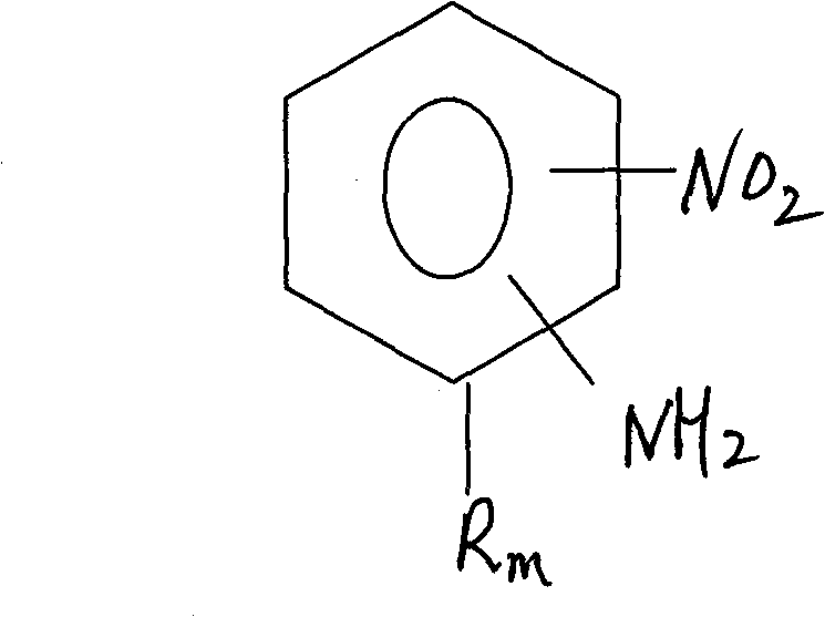 Process for preparing relevent aniline kind compound of ammonolysis of partial nitro benzene halide kind compound