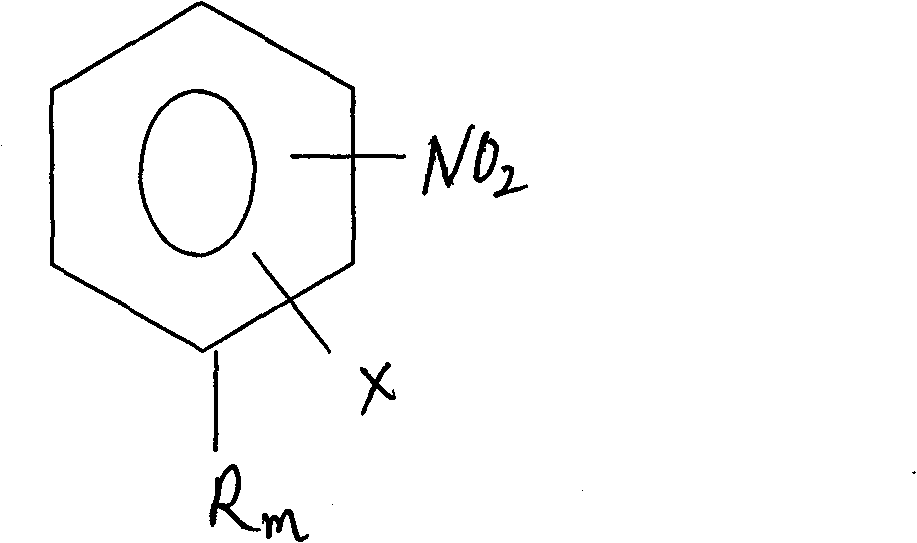 Process for preparing relevent aniline kind compound of ammonolysis of partial nitro benzene halide kind compound