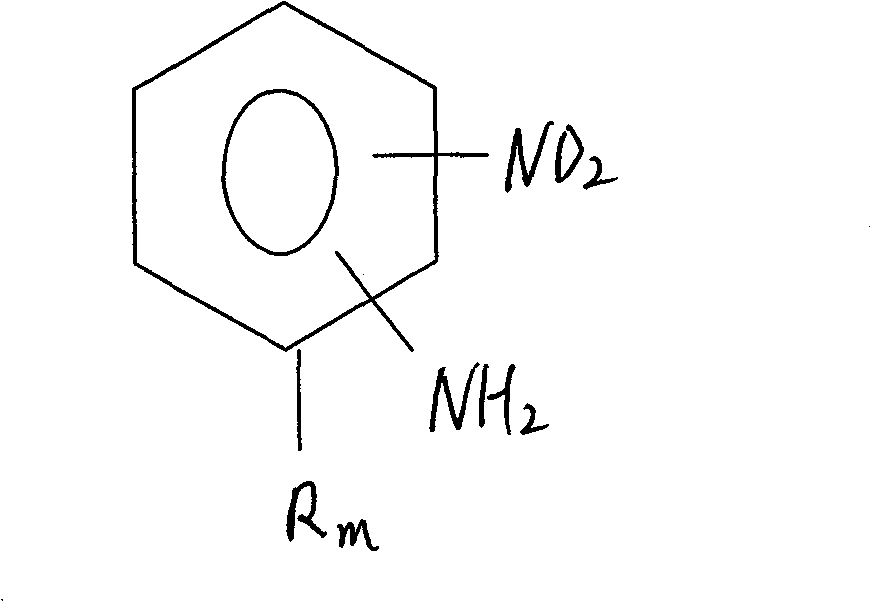 Process for preparing relevent aniline kind compound of ammonolysis of partial nitro benzene halide kind compound