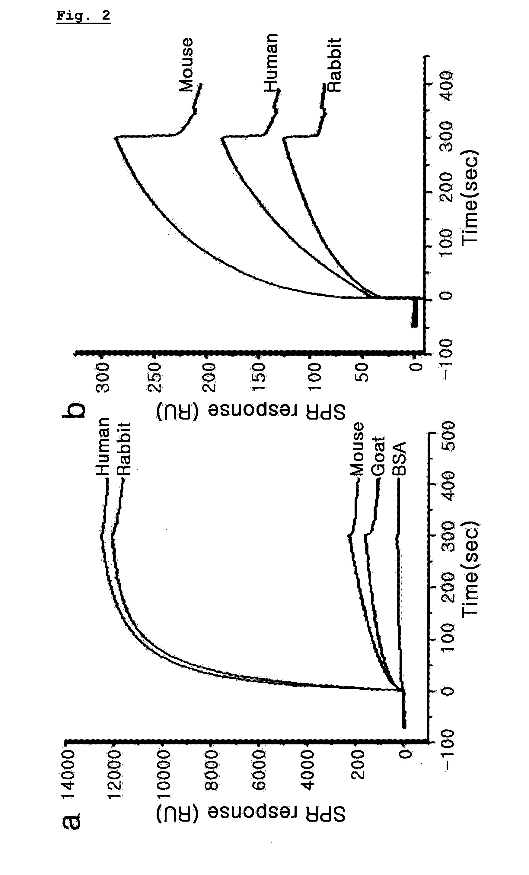 Method for preparing antibody monolayers which have controlled orientation using peptide hybrid