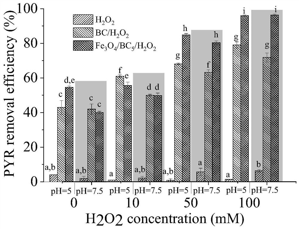 Biochar-loaded iron material for oxidizing and repairing organic pollution of soil water body as well as preparation method and application of biochar-loaded iron material