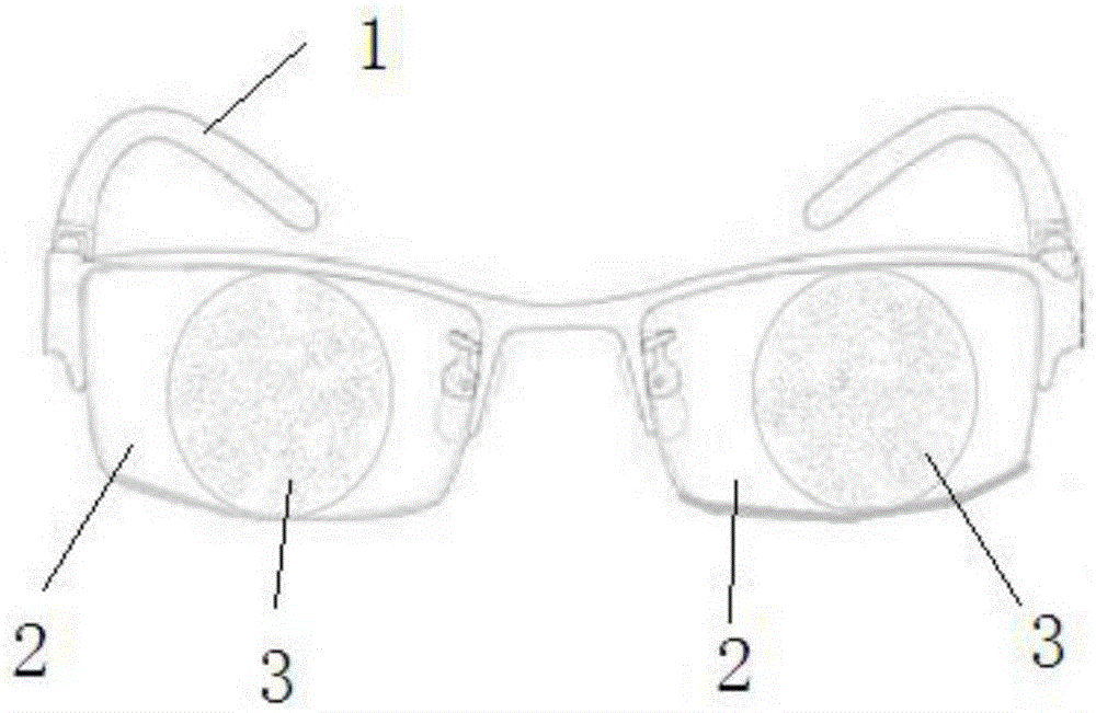 Visual function test method based on shielding glasses