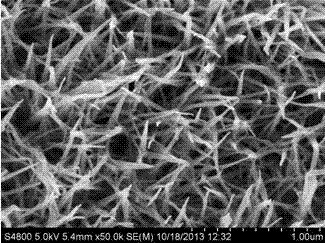 Method for growing TiO2 nanowire thin film on surface of stainless steel wire screen