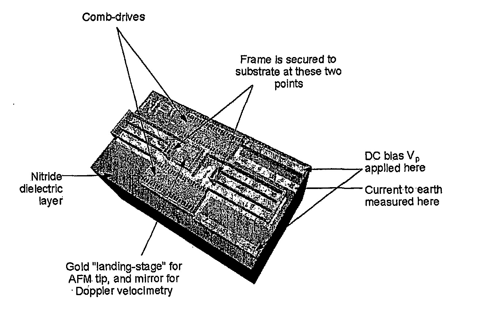 Spring constant calibration device