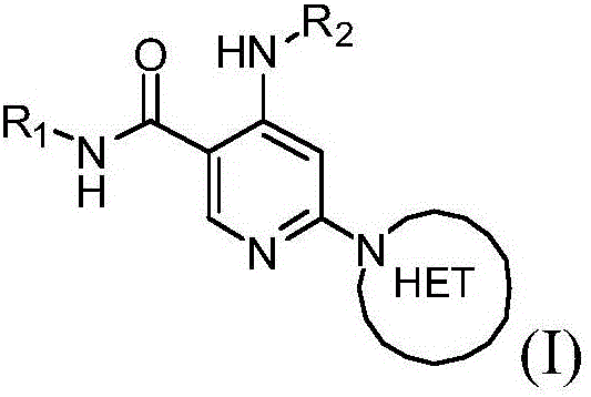 Heteroaryl substituted nicotinamide compounds