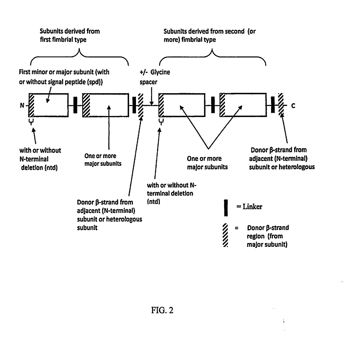 Combined enteropathogen recombinant construct