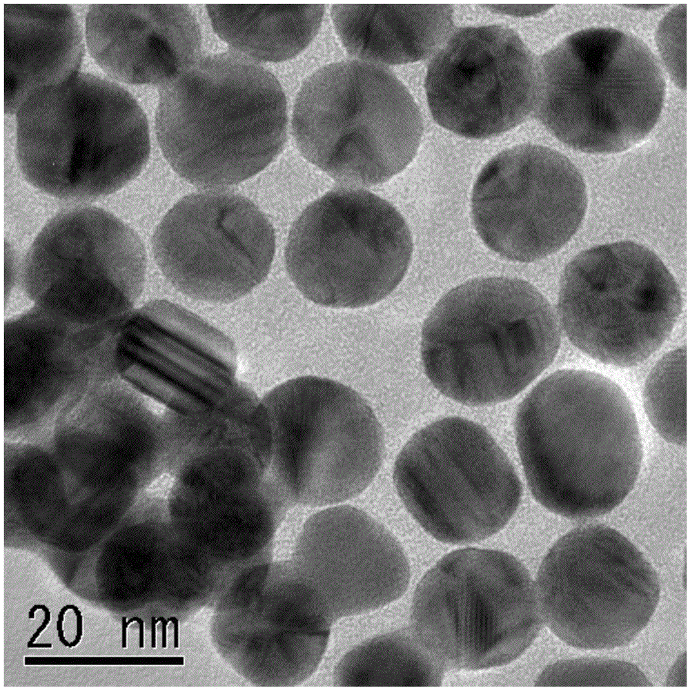 Pretreatment solution for electroless plating and electroless plating method