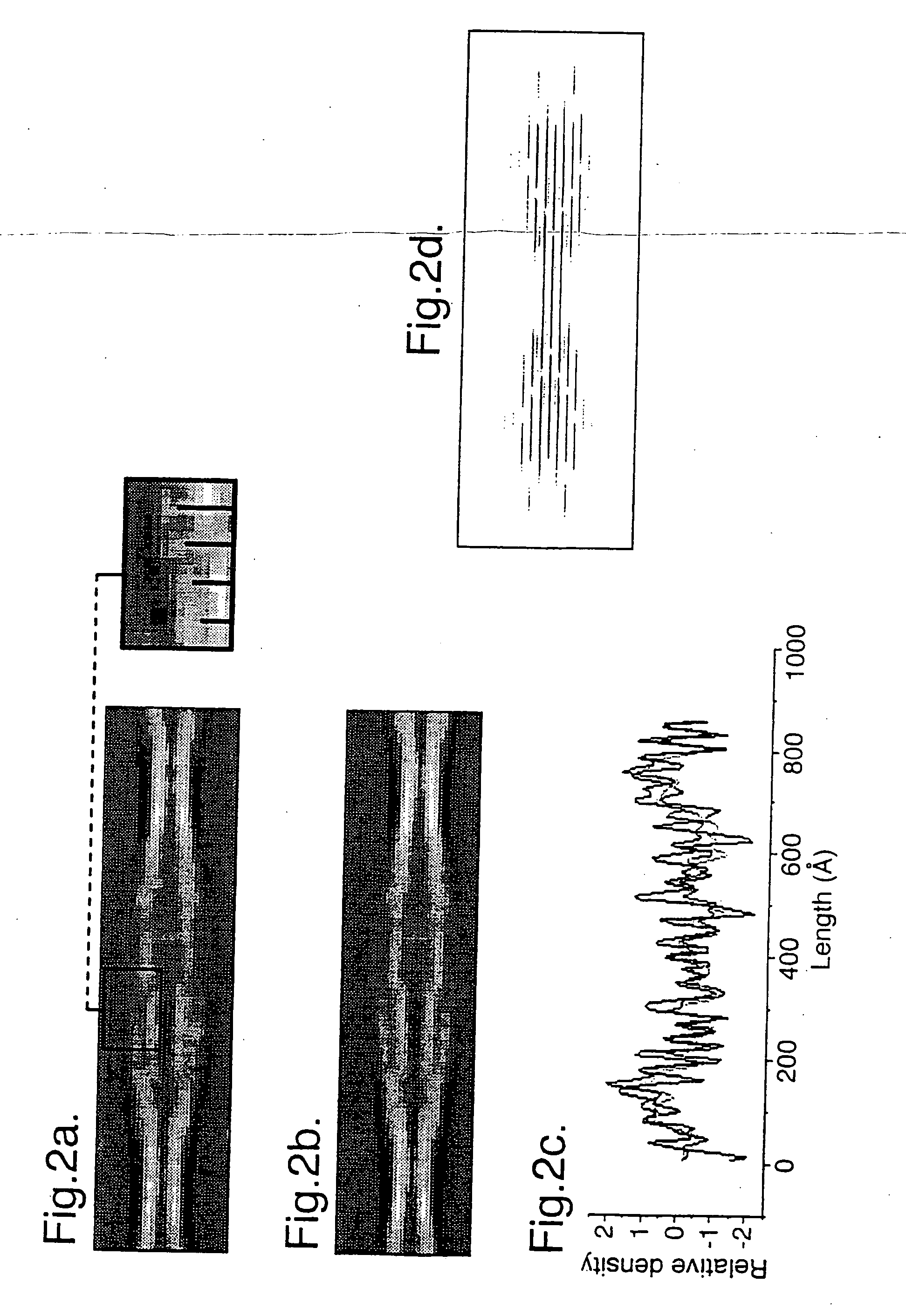 Fibrils