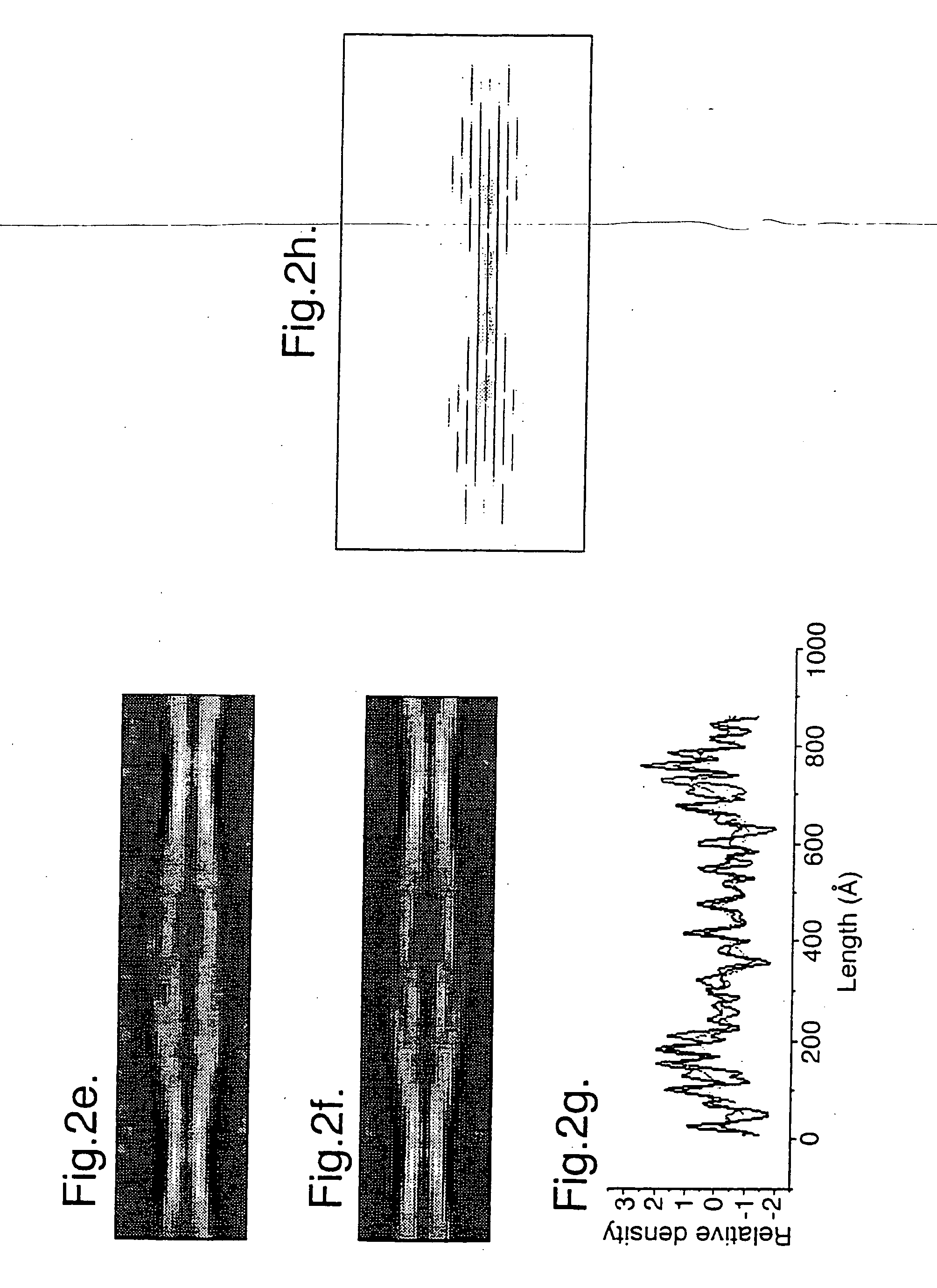 Fibrils