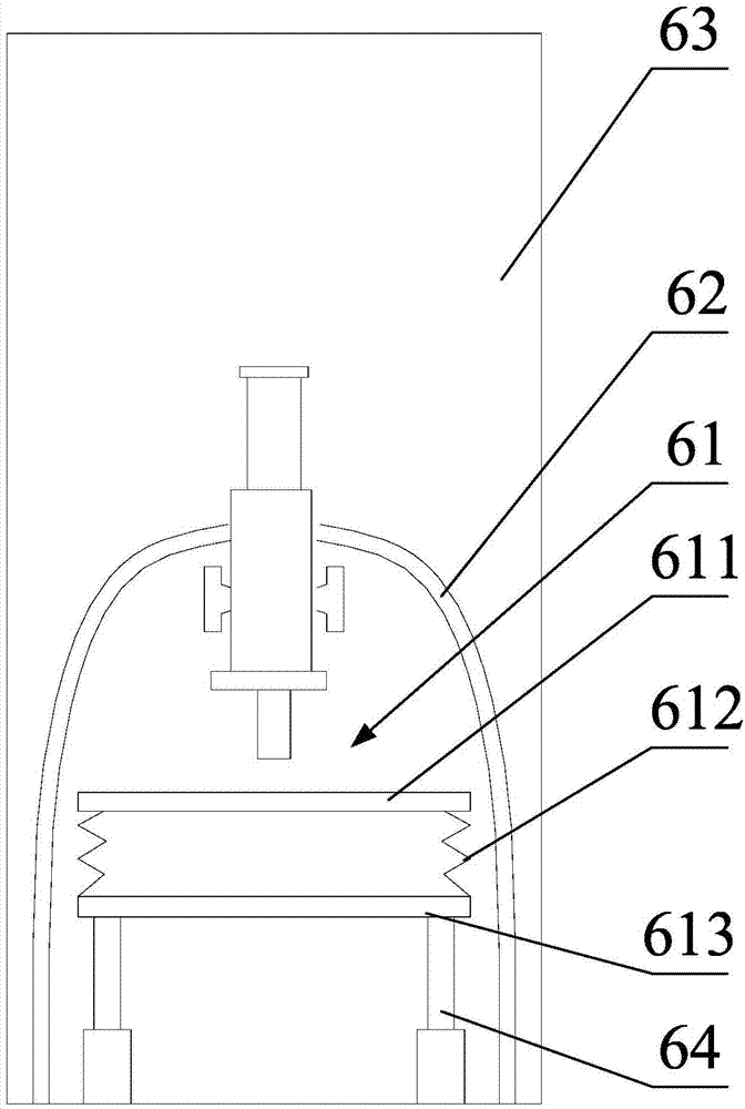 Lung cancer circulating tumor cell detection device