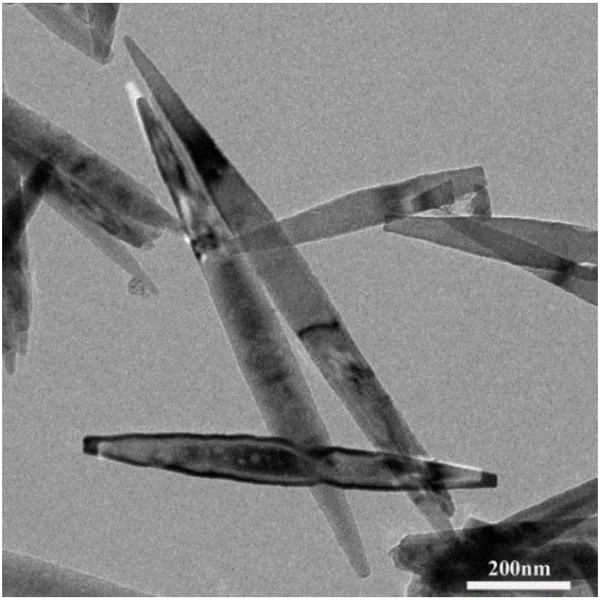 Tapered titanium dioxide nano-rod and preparation method of tapered titanium dioxide nano-rod