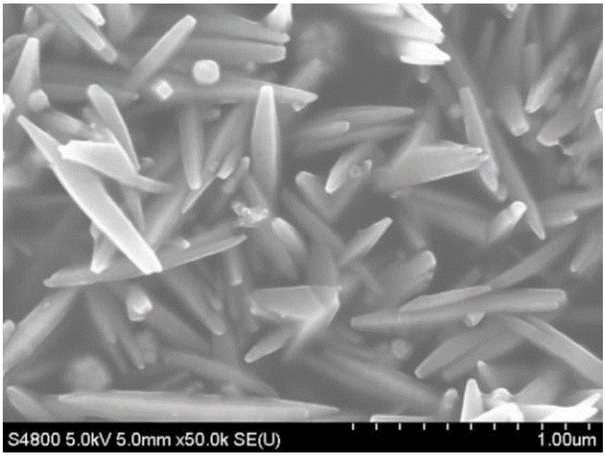 Tapered titanium dioxide nano-rod and preparation method of tapered titanium dioxide nano-rod