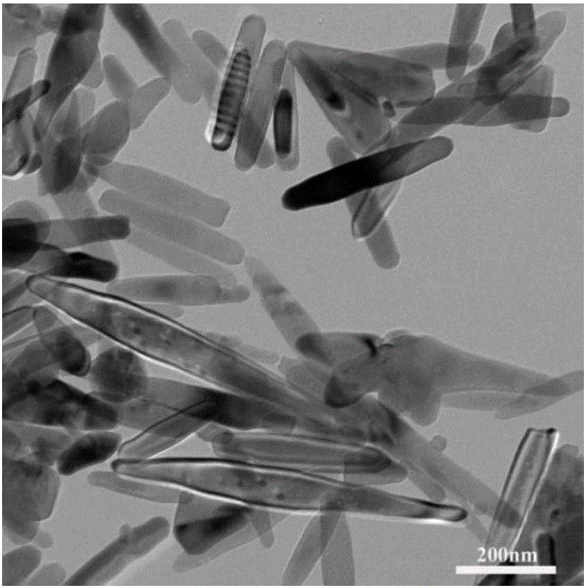Tapered titanium dioxide nano-rod and preparation method of tapered titanium dioxide nano-rod