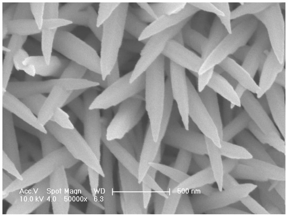 Silver-telluride-and-silver-sulfide thin film with nanorod array and preparation method of silver-telluride-and-silver-sulfide thin film