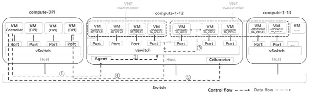 System and method for business identification and topology analysis based on nfv using dpi technology