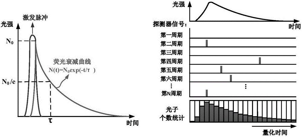 Correction method of center of mass method used for calculating fluorescent lifetime