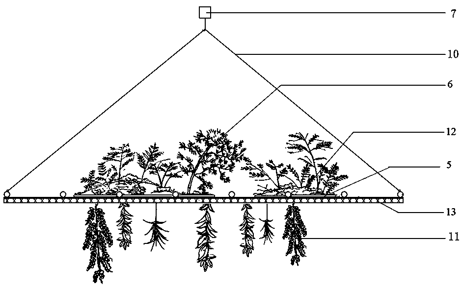 Plant decoration method and device suitable for indoor atrium high-rise space of building