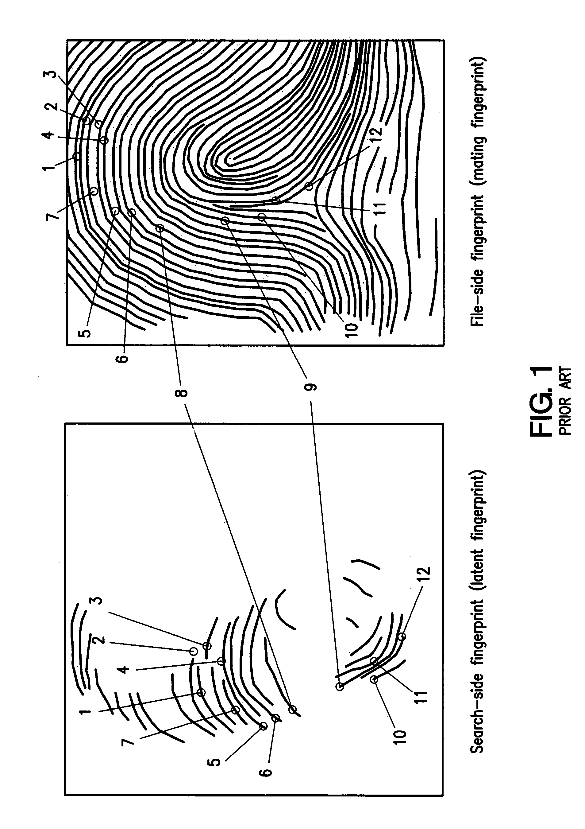 Method and apparatus for analyzing streaked pattern image