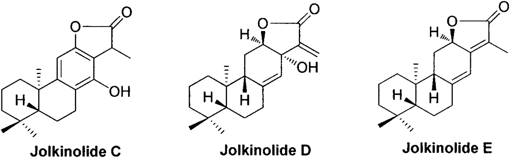 Synthesis method for natural jolkinolide A and B