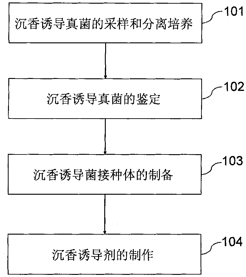 Tambac inducer and preparation method thereof
