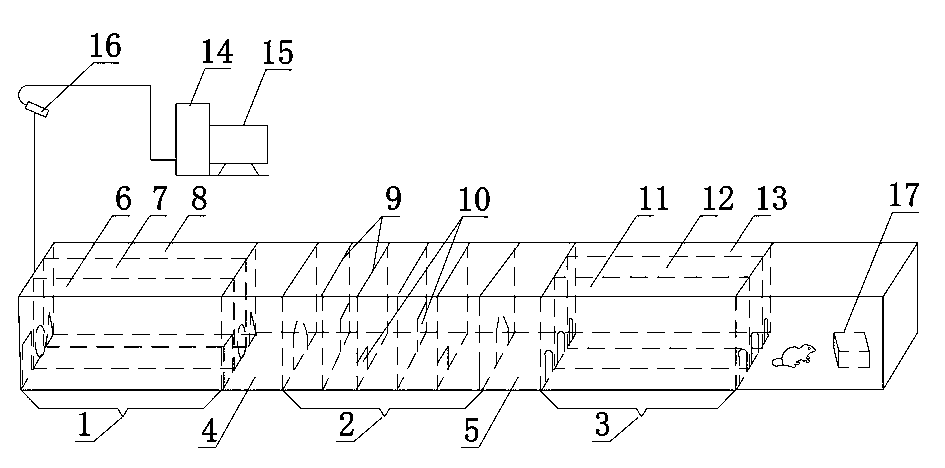 Automatic assessment system for visual cognition behavior function of rodent