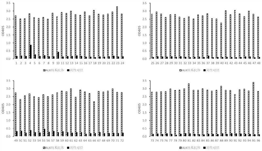 ALK nano antibody developed based on phage display technology and application thereof